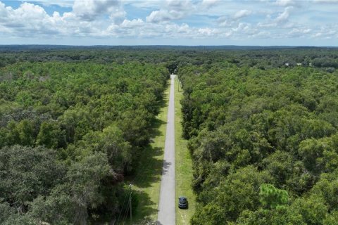 Terreno en venta en Brooksville, Florida № 1372003 - foto 9