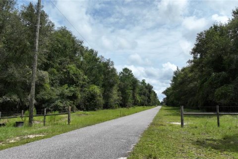 Terreno en venta en Brooksville, Florida № 1372003 - foto 10