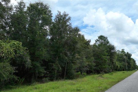 Land in Brooksville, Florida № 1372003 - photo 27