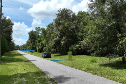 Terreno en venta en Brooksville, Florida № 1372003 - foto 7