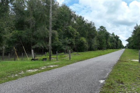 Terreno en venta en Brooksville, Florida № 1372003 - foto 26