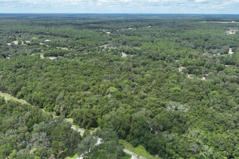 Terreno en venta en Brooksville, Florida № 1372003 - foto 18