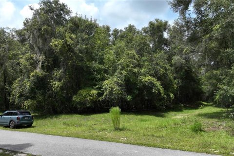 Terreno en venta en Brooksville, Florida № 1372003 - foto 5