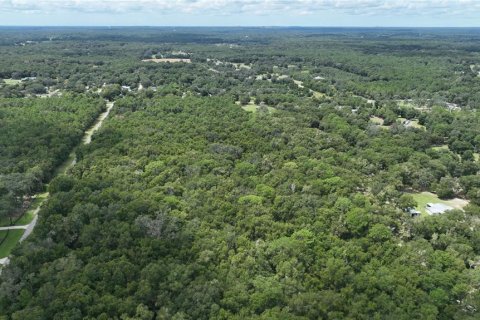 Terreno en venta en Brooksville, Florida № 1372003 - foto 20