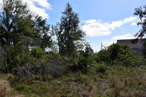 Terreno en venta en Punta Gorda, Florida № 307056 - foto 1
