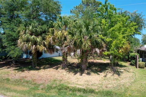 Land in Palm Coast, Florida № 1190896 - photo 3