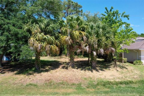 Land in Palm Coast, Florida № 1190896 - photo 2