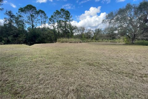 Terrain à vendre à LaBelle, Floride № 1160255 - photo 5