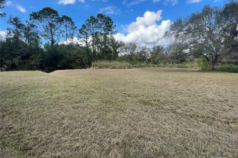 Terreno en venta en LaBelle, Florida № 1160255 - foto 5