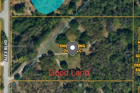 Land in LaBelle, Florida № 1160255 - photo 15