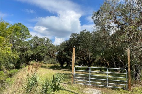 Terreno en venta en LaBelle, Florida № 1160255 - foto 2