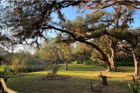 Terreno en venta en LaBelle, Florida № 1160255 - foto 1