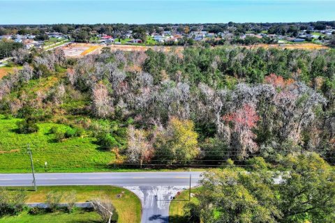 Terrain à vendre à Lakeland, Floride № 749018 - photo 17