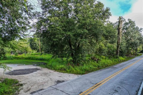 Terreno en venta en Lakeland, Florida № 1356397 - foto 7