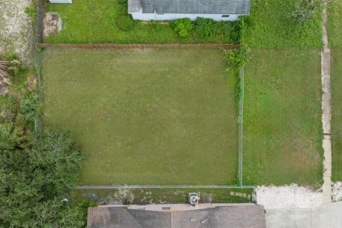 Land in Tampa, Florida № 1343667 - photo 3