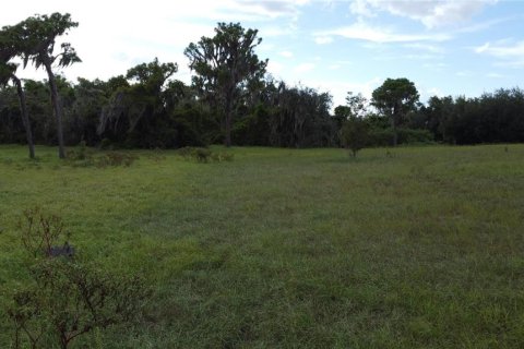 Land in Frostproof, Florida № 1341138 - photo 10