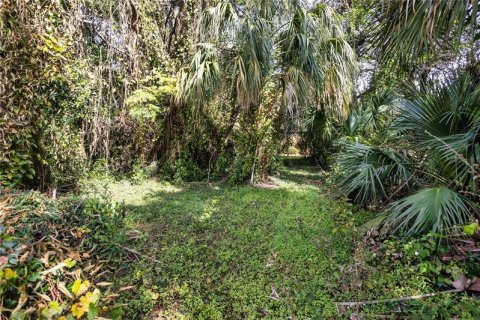 Land in Brandon, Florida № 259565 - photo 8