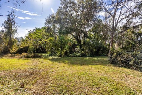 Купить земельный участок в Брэндон, Флорида № 259565 - фото 3