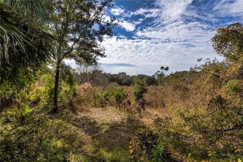 Land in Brandon, Florida № 259565 - photo 11