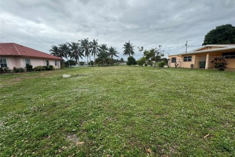 Land in Oakland Park, Florida № 913177 - photo 7