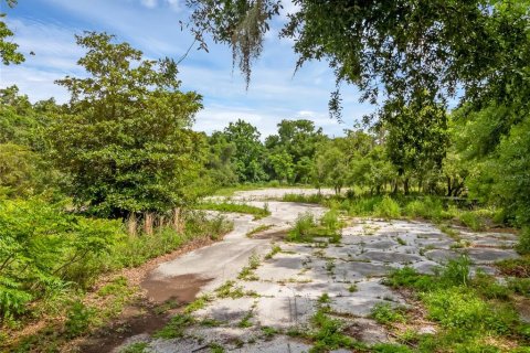 Terreno en venta en Maitland, Florida № 1297273 - foto 3