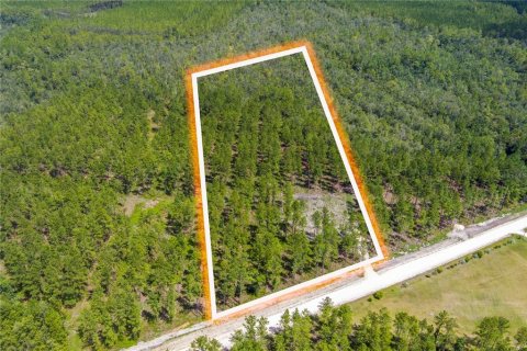 Terreno en venta en Lawtey, Florida № 1355912 - foto 1