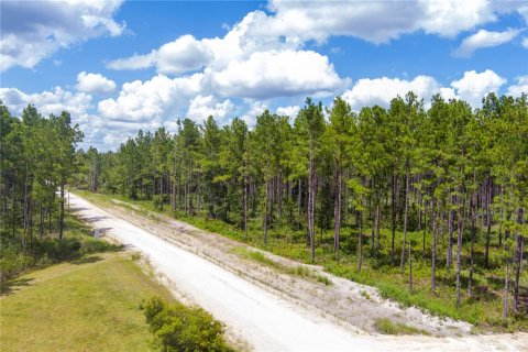 Terreno en venta en Lawtey, Florida № 1355912 - foto 2