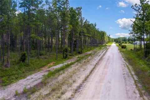 Terreno en venta en Lawtey, Florida № 1355912 - foto 3