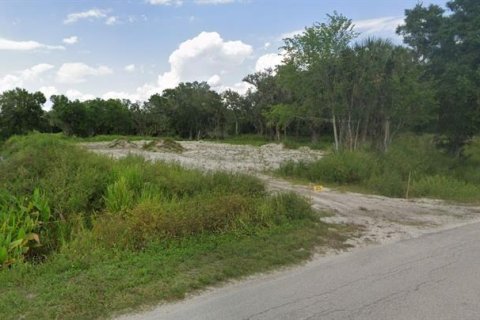 Land in LaBelle, Florida № 1197238 - photo 2