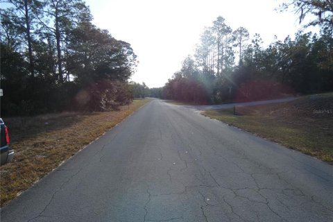 Land in Dunnellon, Florida № 1295912 - photo 2