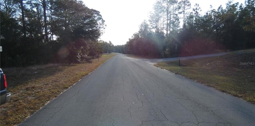 Terrain à Dunnellon, Floride № 1295912