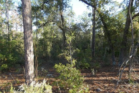 Terrain à vendre à Dunnellon, Floride № 1295912 - photo 6