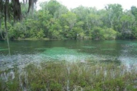 Terreno en venta en Dunnellon, Florida № 1295912 - foto 16