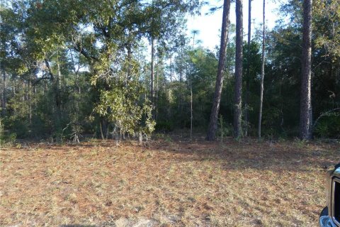 Terreno en venta en Dunnellon, Florida № 1295912 - foto 3