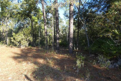 Terrain à vendre à Dunnellon, Floride № 1295912 - photo 4