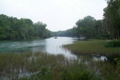 Land in Dunnellon, Florida № 1295912 - photo 17