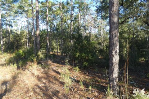 Terrain à vendre à Dunnellon, Floride № 1295912 - photo 5