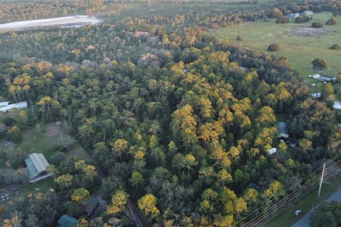 Terreno en venta en Saint Cloud, Florida № 1353623 - foto 4