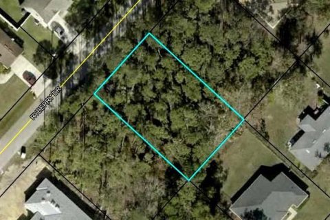 Terreno en venta en Palm Coast, Florida № 1379669 - foto 1