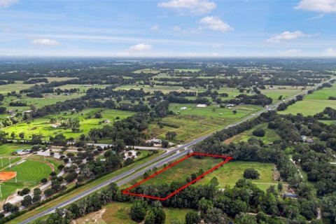 Terreno en venta en Citra, Florida № 1432125 - foto 3