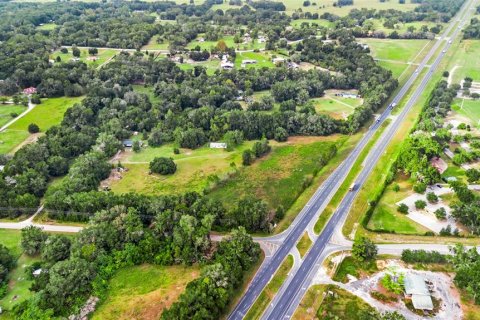 Terreno en venta en Citra, Florida № 1432125 - foto 12