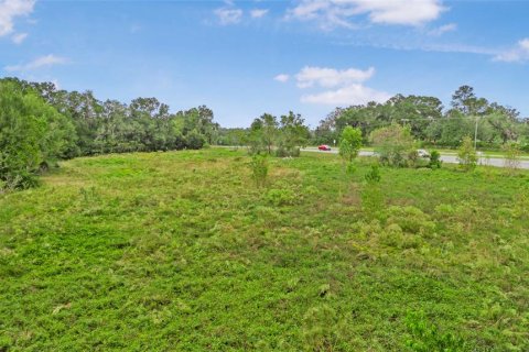 Terreno en venta en Citra, Florida № 1432125 - foto 2