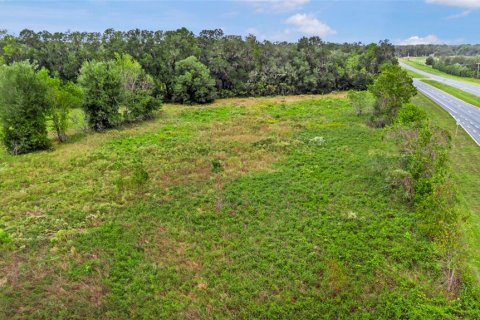 Terreno en venta en Citra, Florida № 1432125 - foto 1