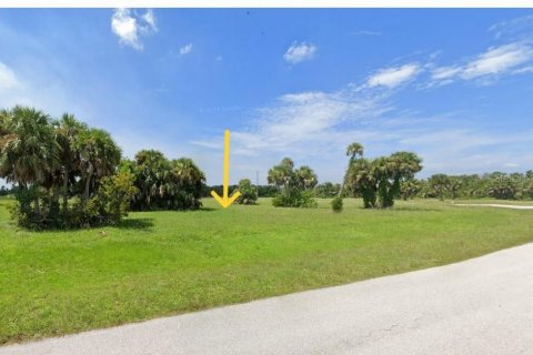 Terreno en venta en Punta Gorda, Florida № 1148838 - foto 15