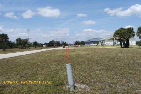 Terrain à vendre à Punta Gorda, Floride № 1148838 - photo 13