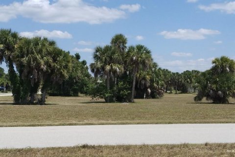 Terrain à vendre à Punta Gorda, Floride № 1148838 - photo 6