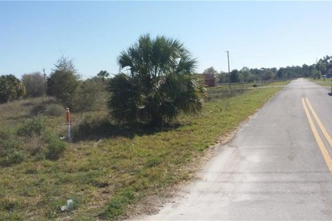 Land in Okeechobee, Florida № 600397 - photo 11