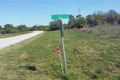 Terreno en venta en Okeechobee, Florida № 600397 - foto 8