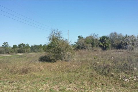 Land in Okeechobee, Florida № 600397 - photo 5