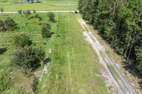 Land in Live Oak, Florida № 1306608 - photo 16